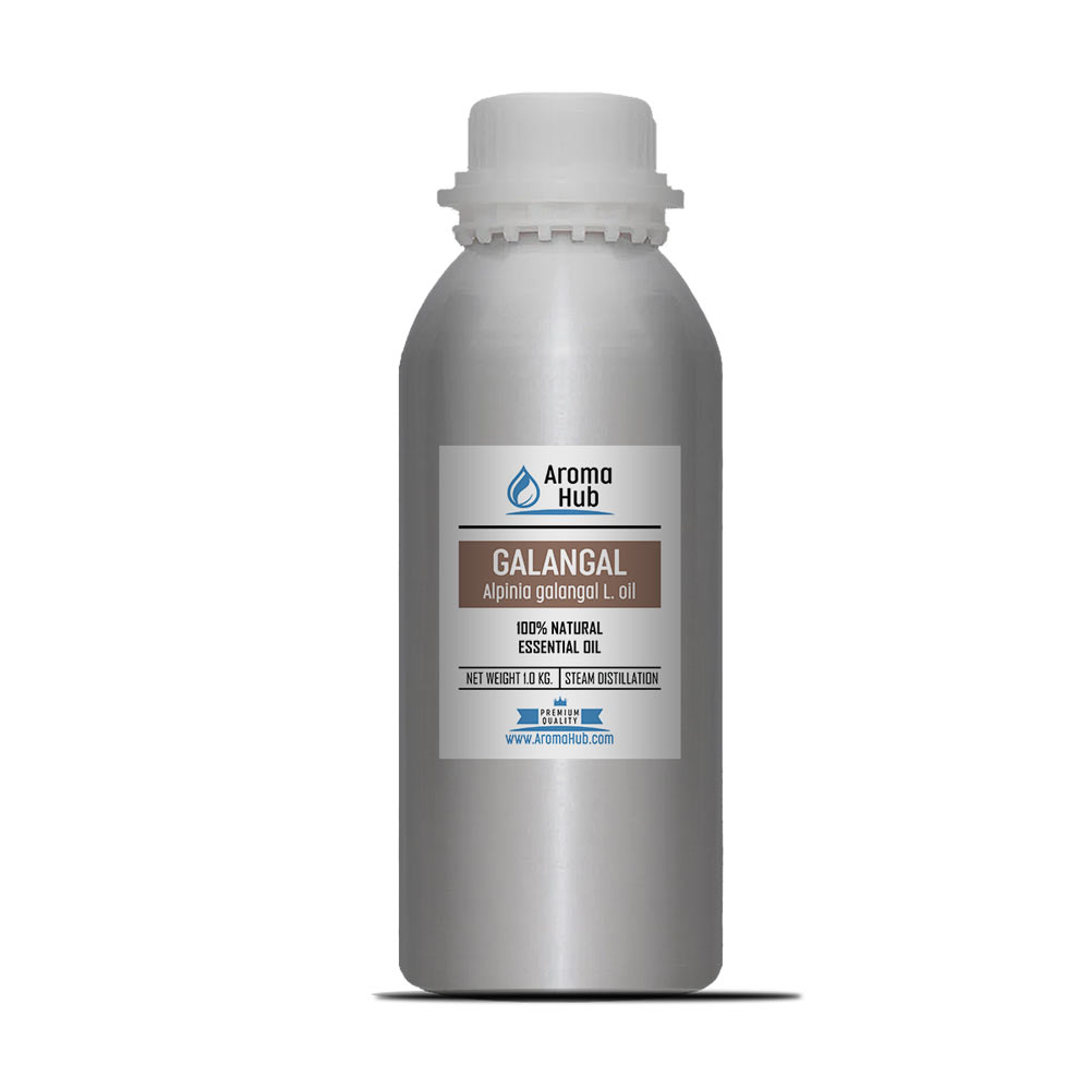 Galangal-Oil-1000-ml