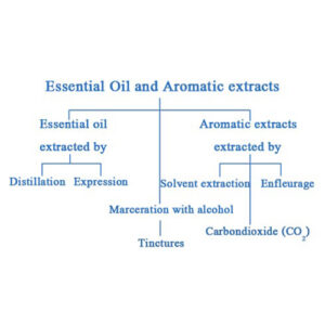 EO_Extraction_Chart