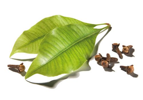 Clove-Leaf-Bud